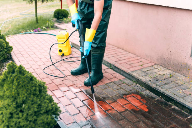 Best Driveway Pressure Washing  in Palmetto Bay, FL